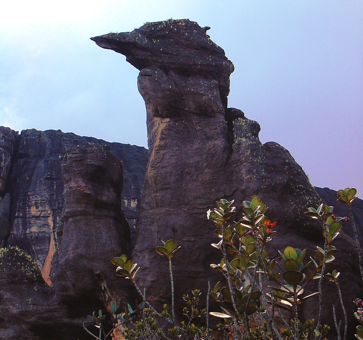 gallery-auyan-tepui-tour