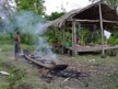 Orinoco Delta wild life